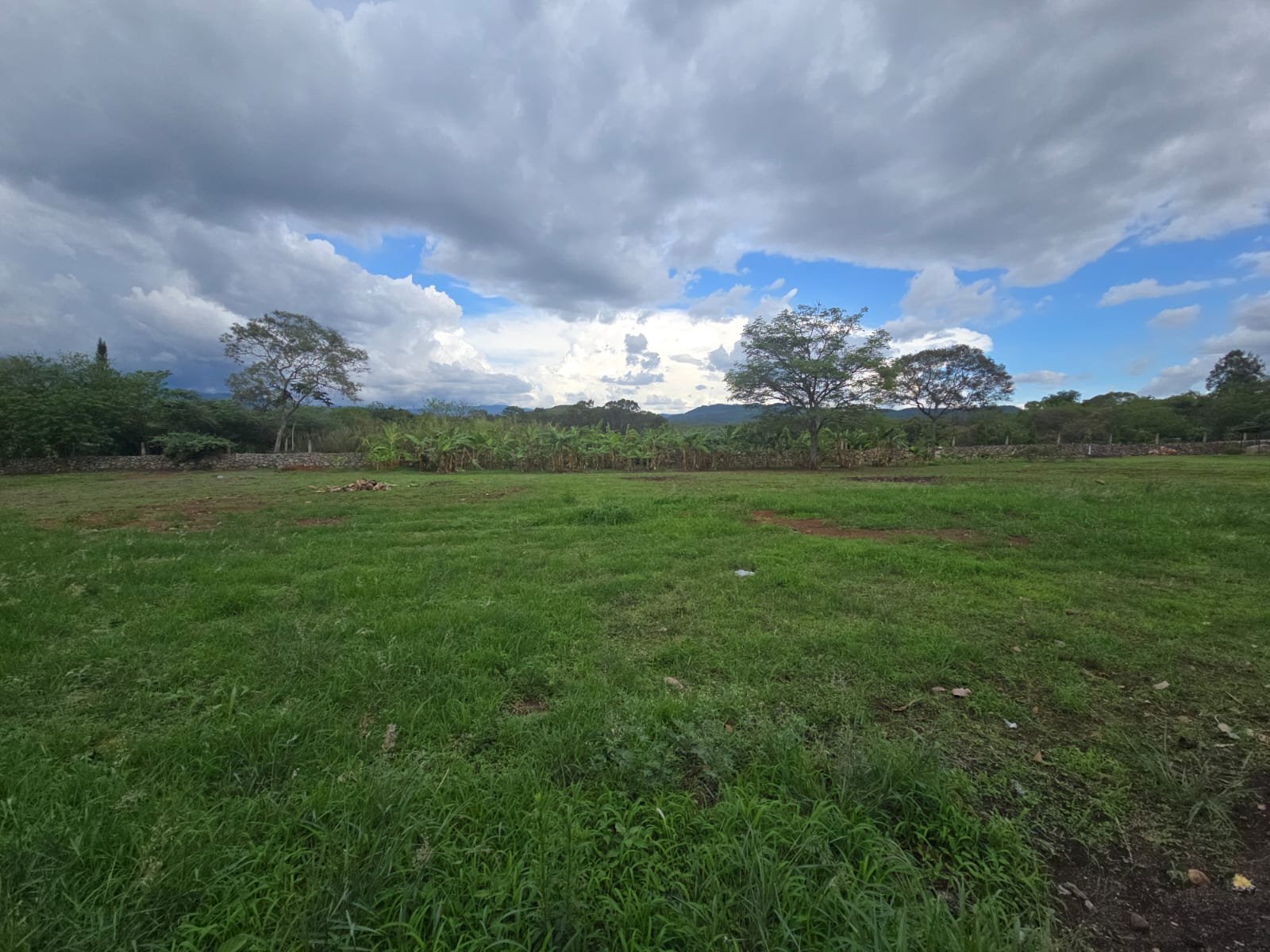 Vista amplia del terreno con árboles y montañas